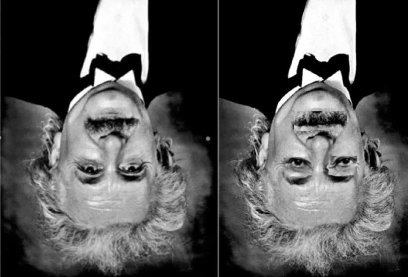 看,让你产生错觉的是眼睛还是大脑|名画|神经科学|视错觉_新浪新闻