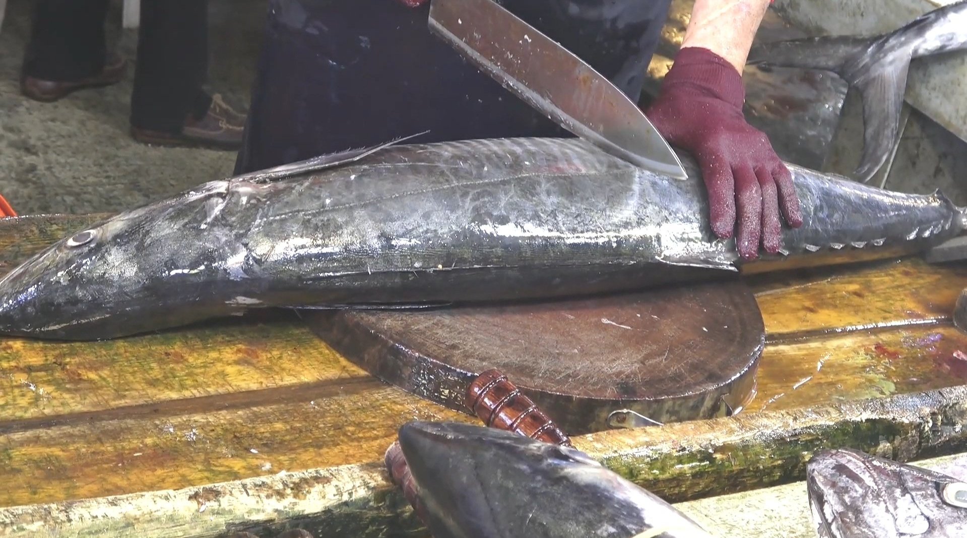 别名竹筒(潮汕叫法),也叫作澎湖土魠鱼,山东地区称为