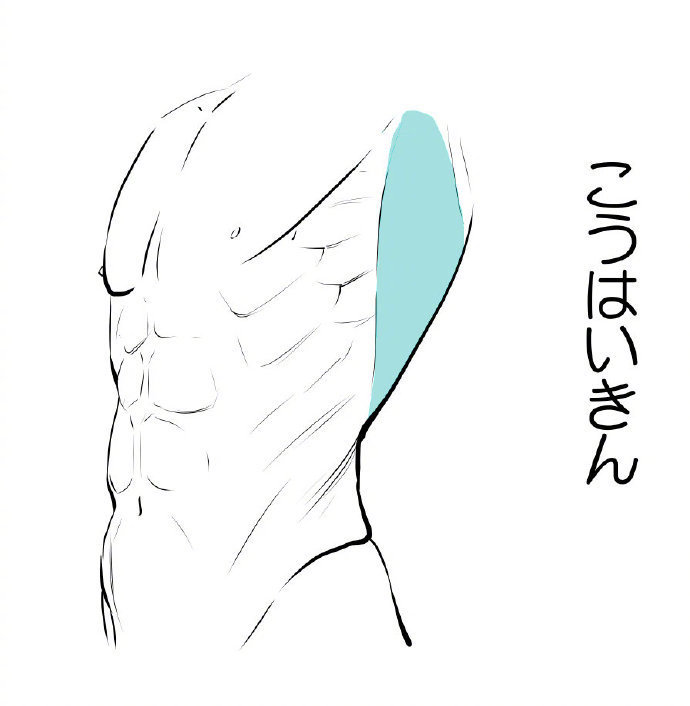 男生腹肌绘画图片