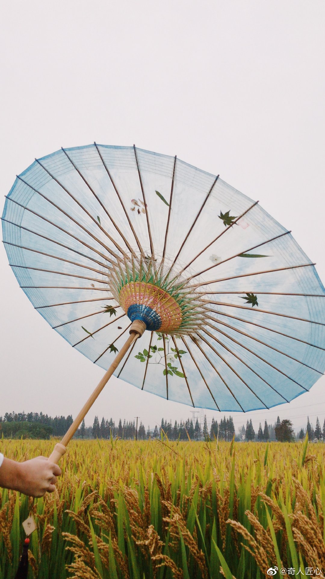 分享图片纸伞以云华古永等地出产的毛竹和当地的木料为伞柄伞骨