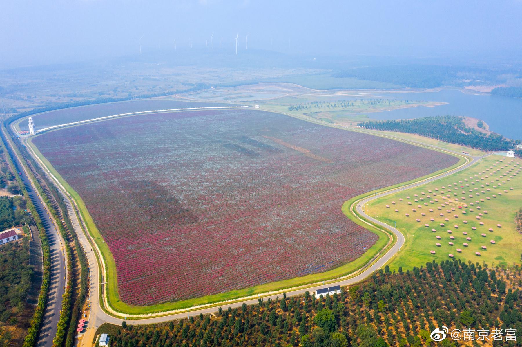 南京六合区的大泉湖枫彩漫城景区以浪漫多彩,快乐休闲,生态观光为主