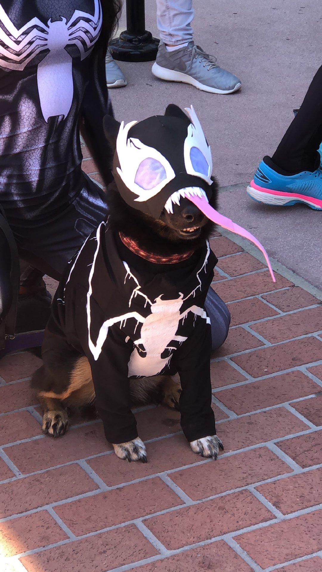 这个毒液cos真的全场最佳!