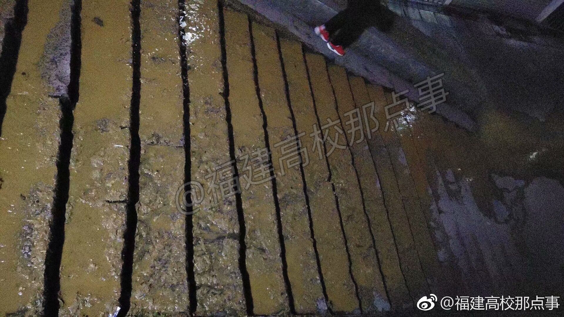 福建农林大学粪坑炸了!我隔着屏幕都闻到了味道