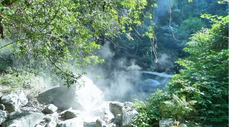 一次偶然的机会 听观鸟协会的朋友说起这个 神秘的地方——百花岭