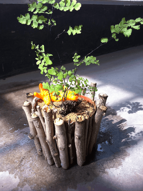 发现这时候跟春夏期间是完全不一样的,原本是漫山遍野茂盛翠绿的植物