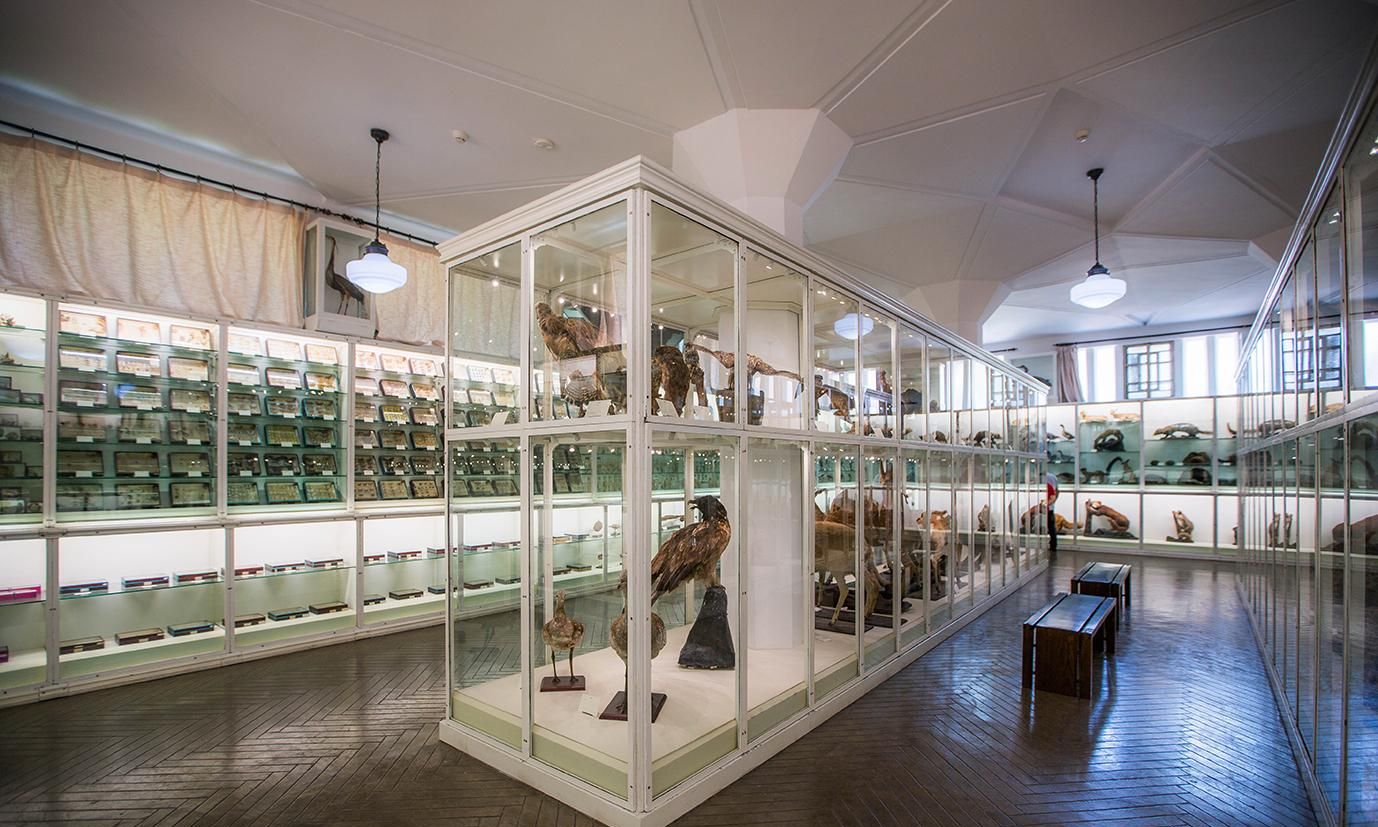 这位法国人在中国挖了24年标本没运回国