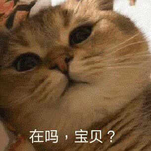 搞笑囧事表情包