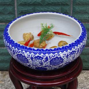 如何利用陶瓷鱼缸养鱼