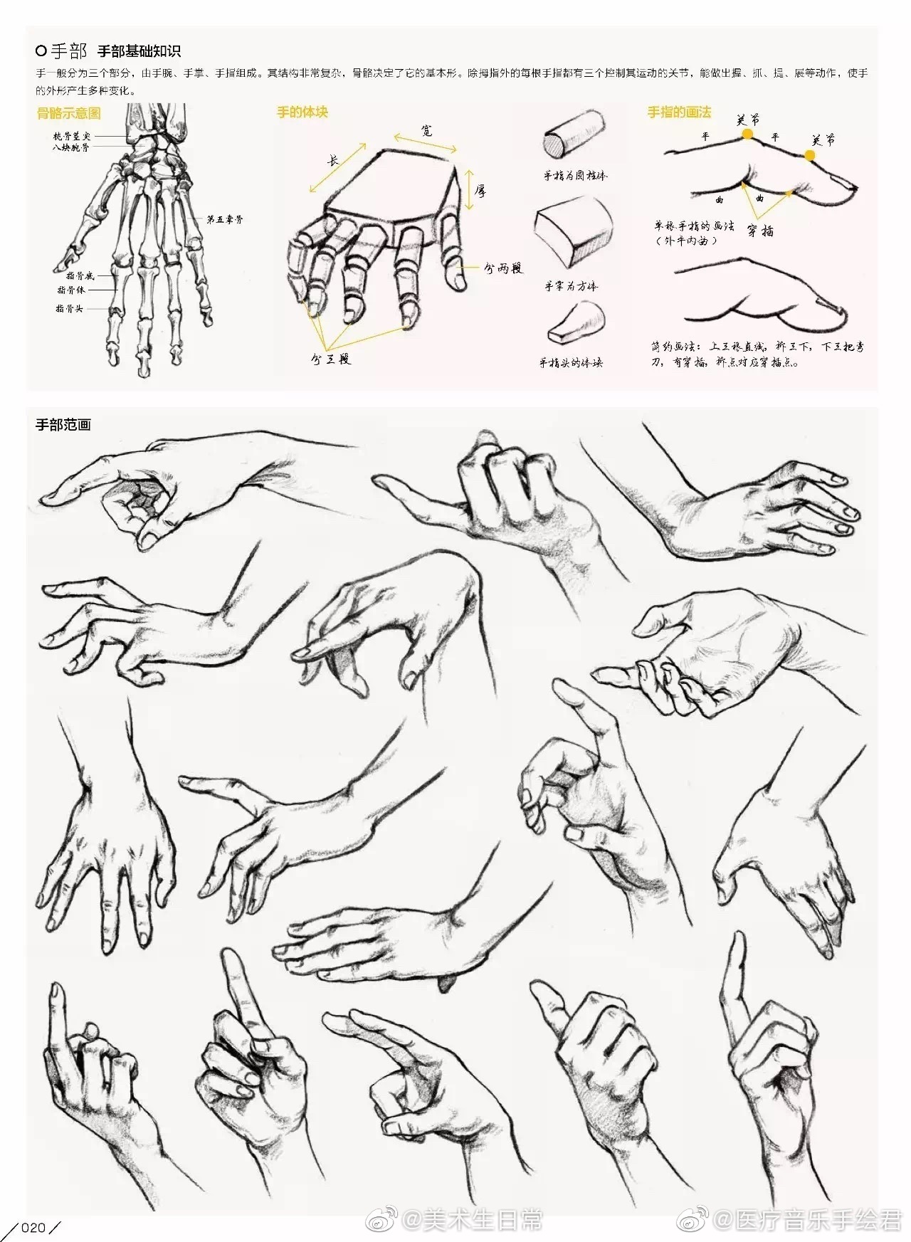干货速写人物局部刻画解析马住