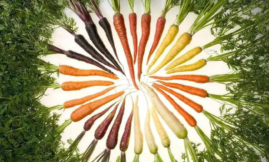 胡萝卜营养价值高,但是不能跟以下食物一起食用,容易相克!