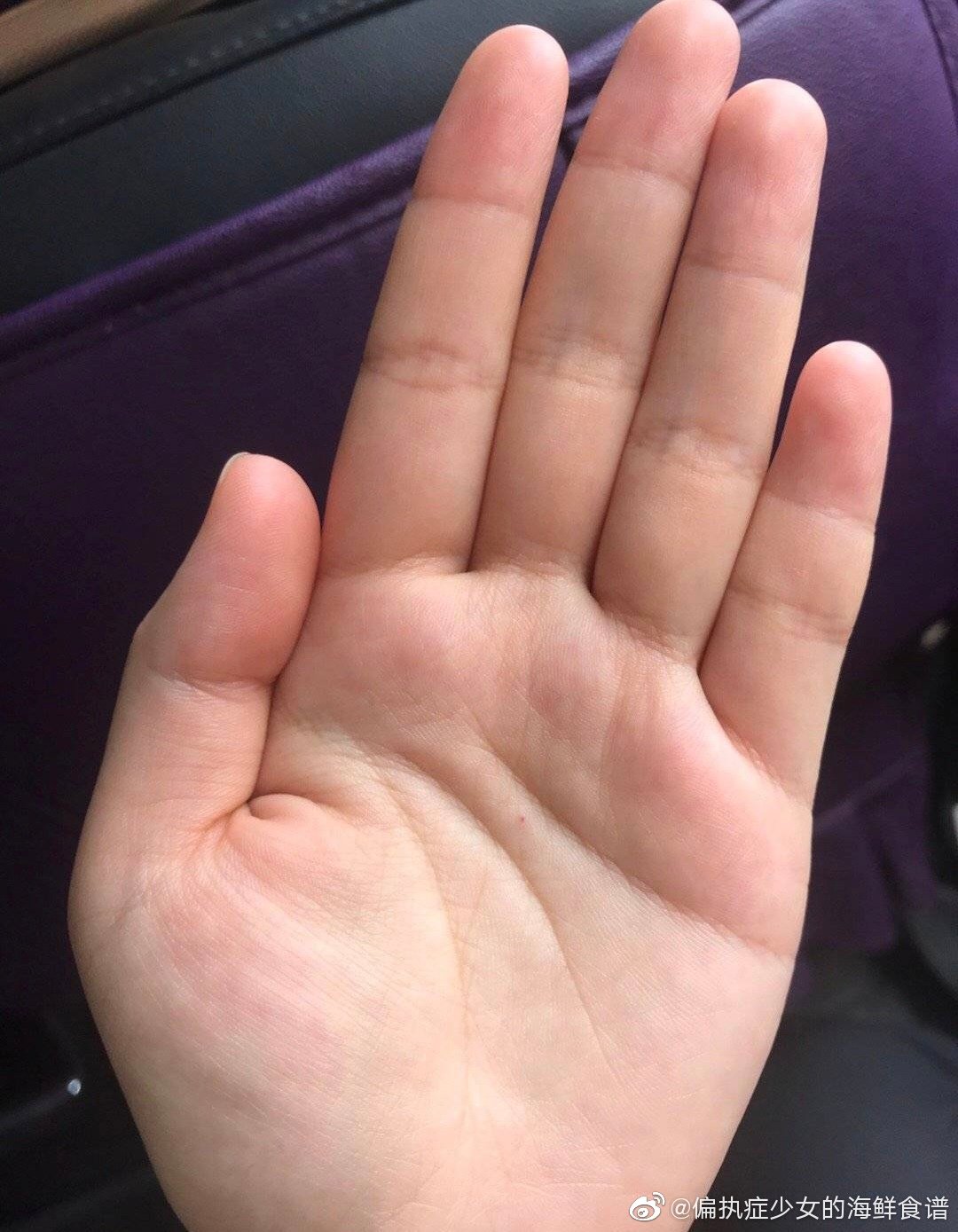手相中最主要的三条线 感情线 智慧线和生命线 男人左手代表自己 手相中最主要的三条线 感情线 智慧线和生命线 男人左手代表自己
