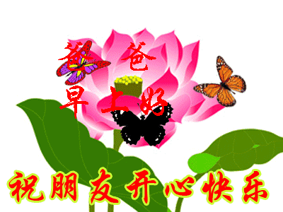 朋友们早上好,最美的祝福送给你,愿你幸福快乐每一天