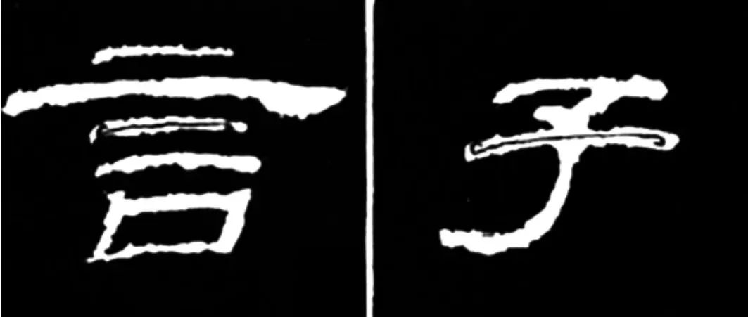 遂宁市畜牧局什么时候合并到农业农村局的