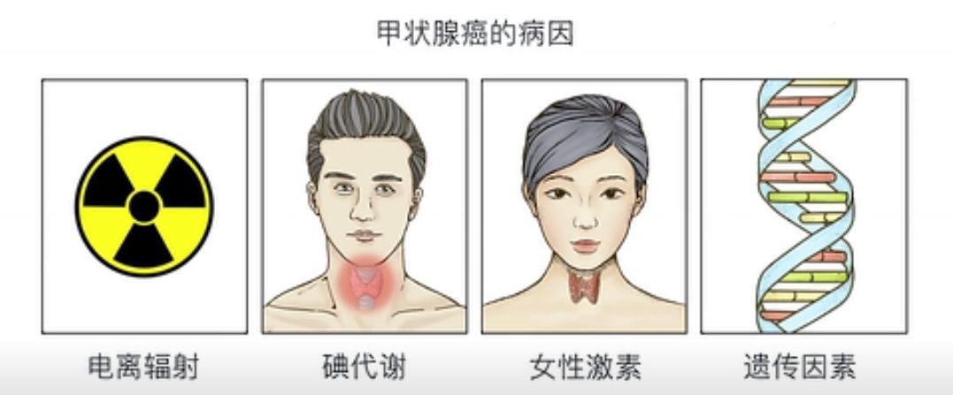 《奇葩说》邱晨患甲状腺癌:用半年时间学会与癌症相处!