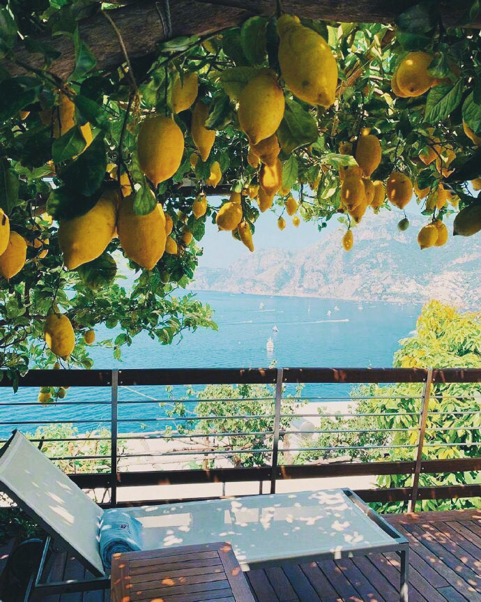 柠檬树下你和我?