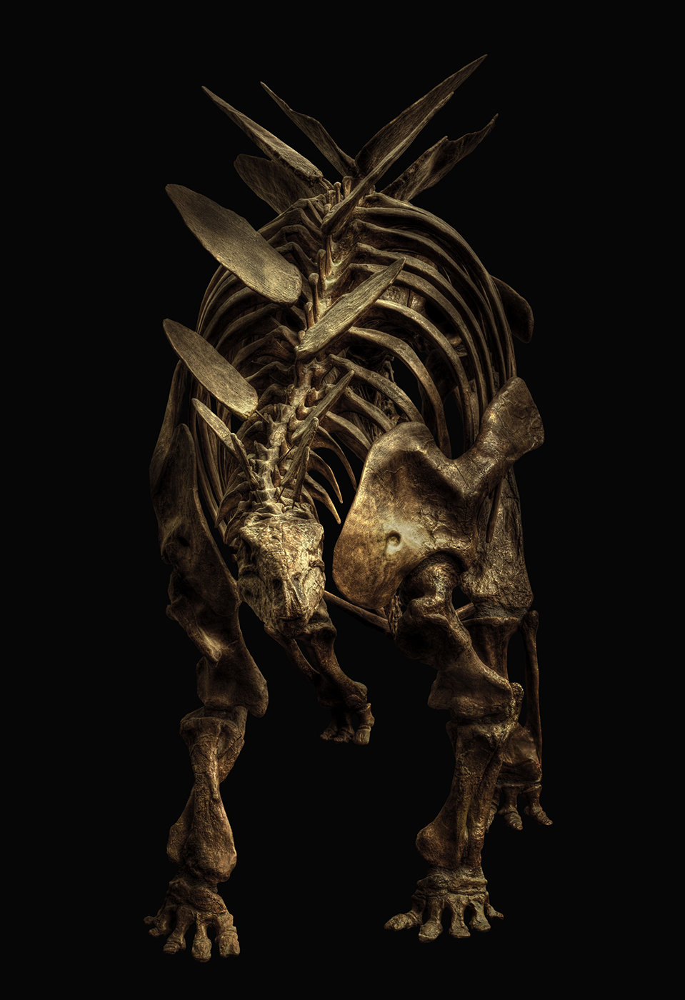 巨大的恐龙,三维的,几乎是活着的.