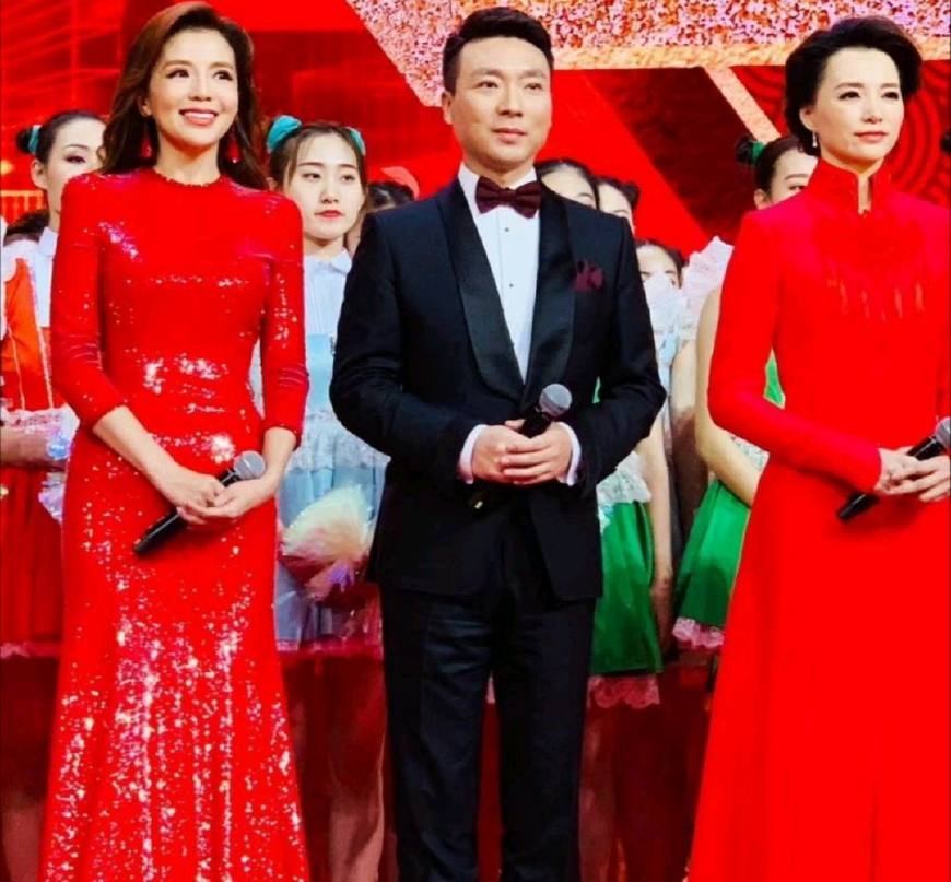 央视元旦晚会放歌新时代，主持人和明星演员名单找齐了，没有朱军|央视|晚会|朱军_新浪新闻