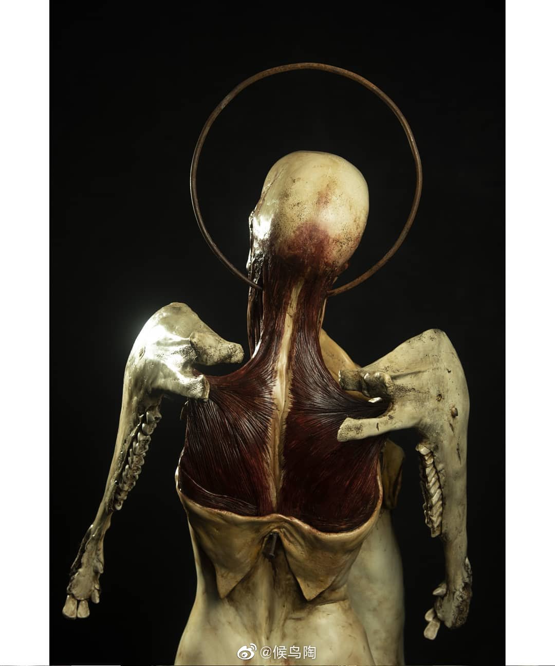 墨西哥艺术家emilmelmoth其创作灵感来源于死亡文化与恐惧的事物