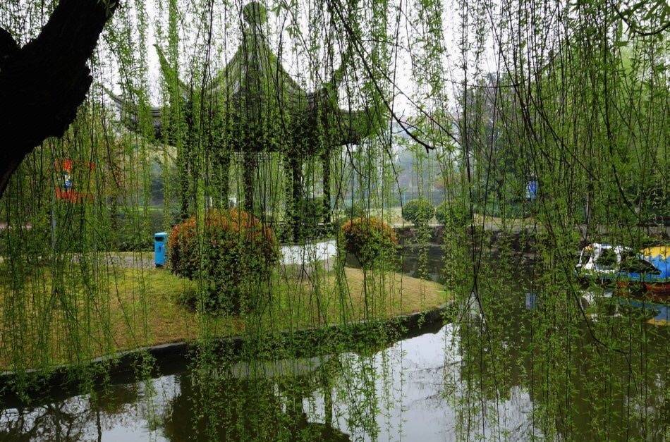 江雨霏霏江草齐,六朝如梦鸟空啼。 无情最是台城柳|台城|如梦|江雨|韦庄|鸟_新浪新闻