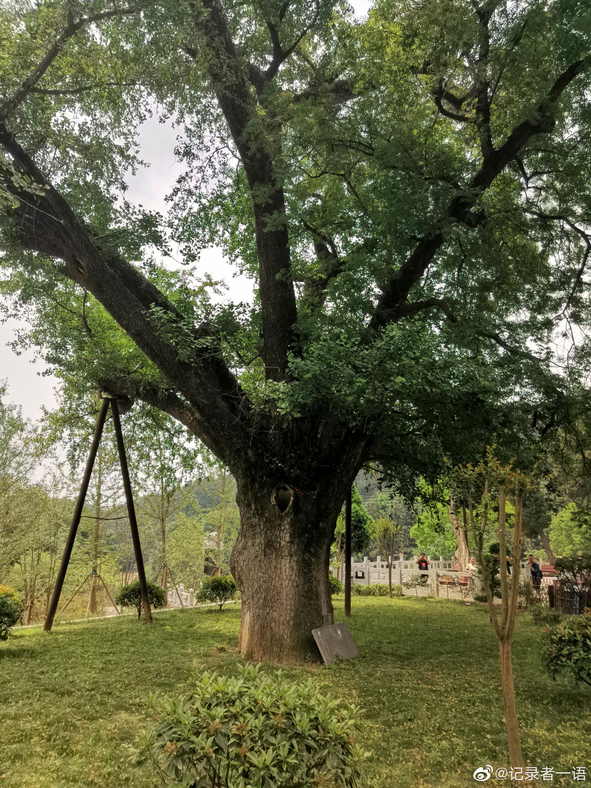 光山不仅有天台祖庭净居寺