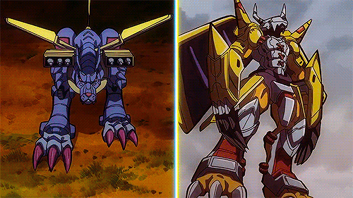 500_281gif 动态图 动图