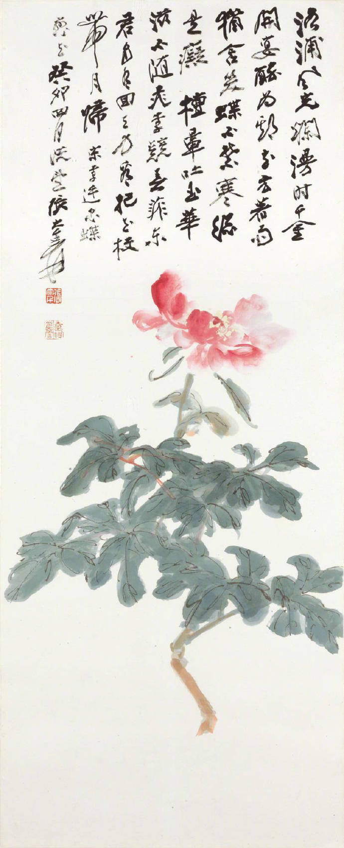 张大千花鸟欣赏