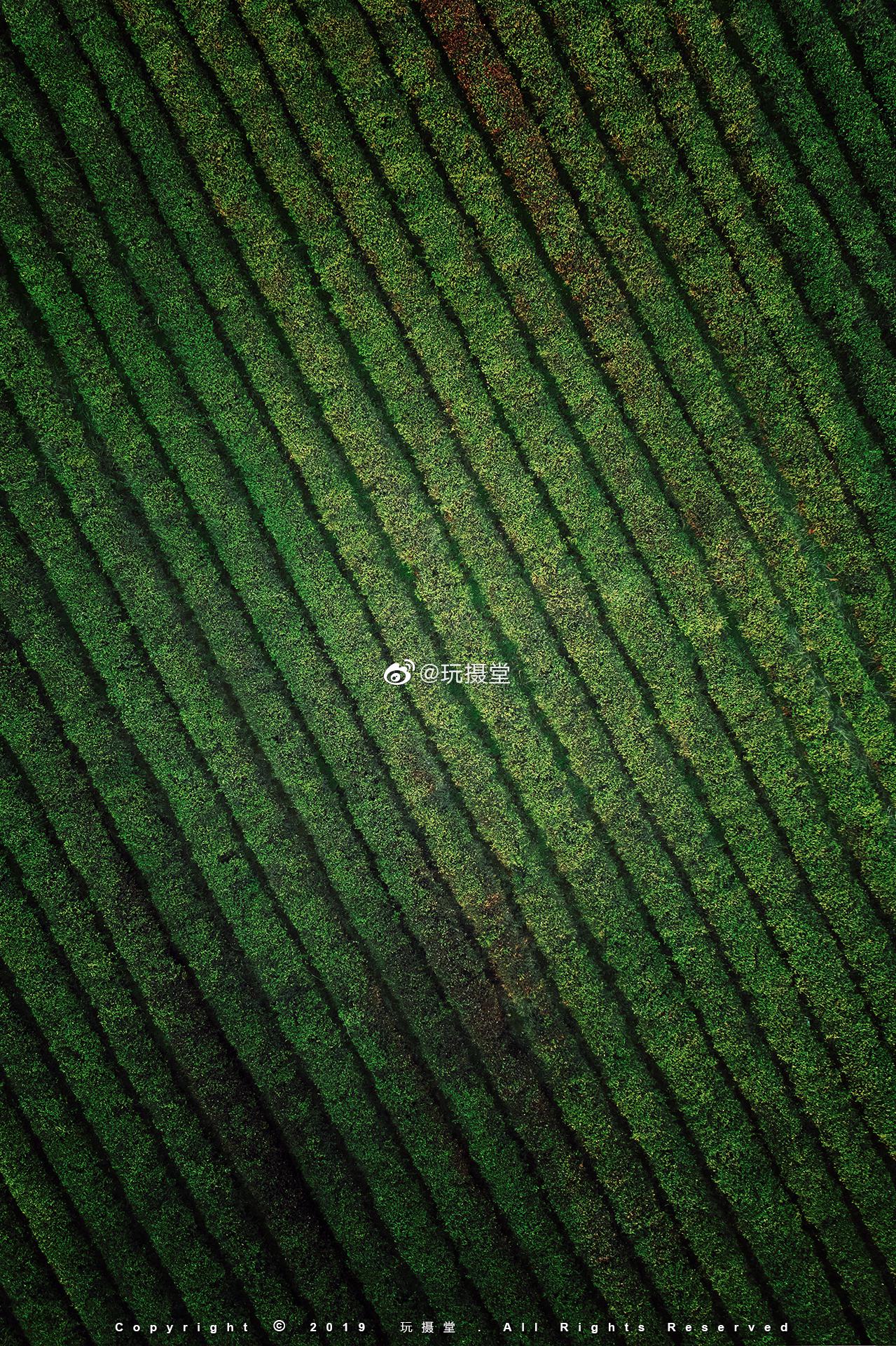 本来今天应该是2020的水印了,由于昨晚信号不好,没有发出