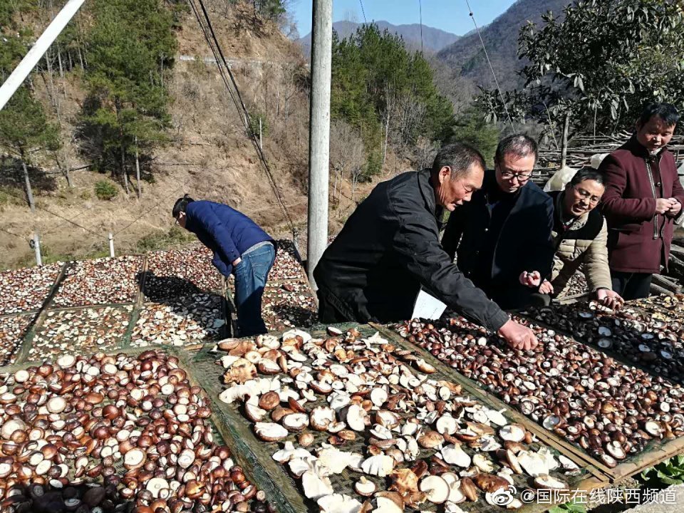 许庆明:"老病号"脱贫记