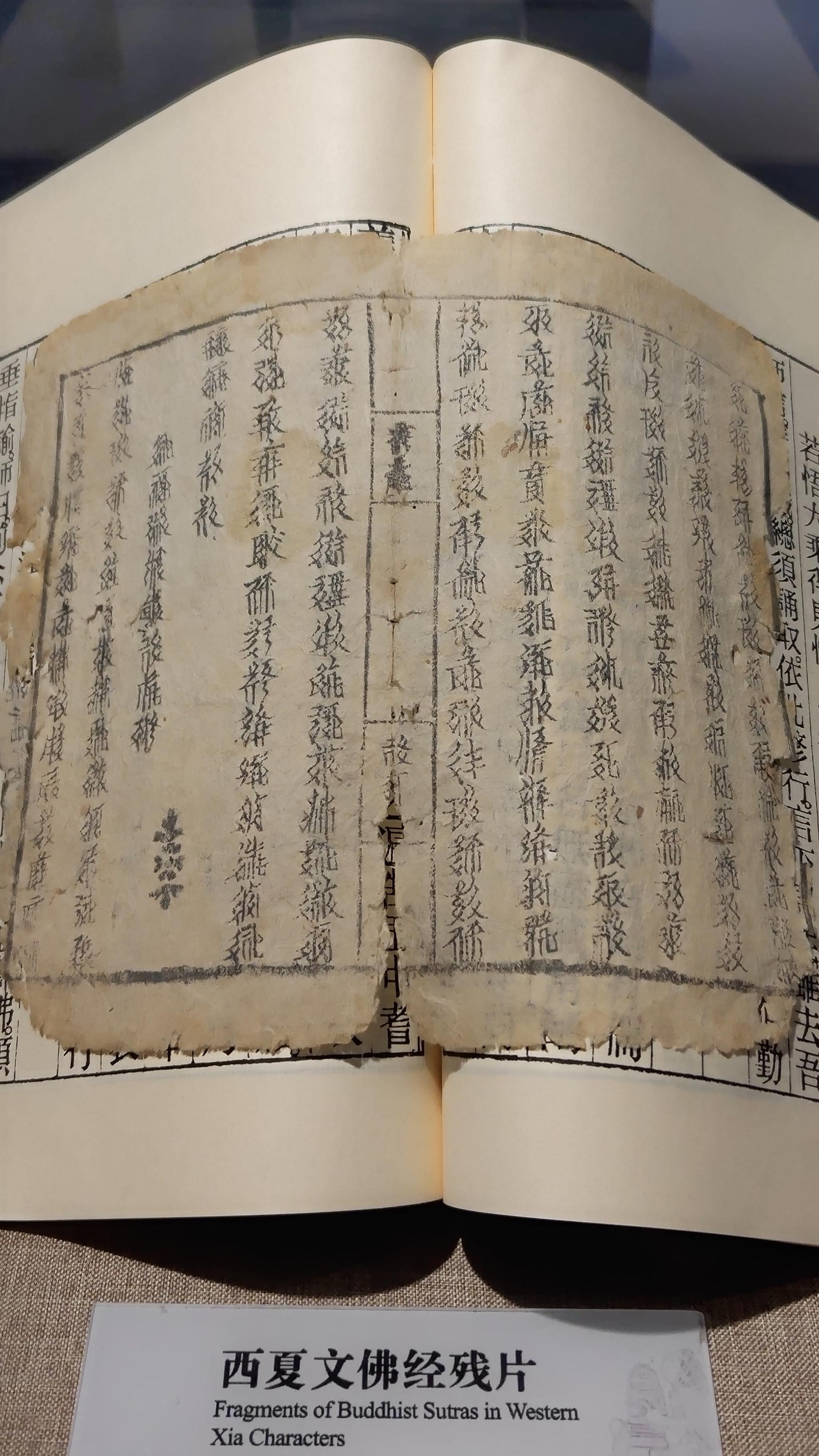 玄奘取经博物馆|博物馆|玄奘|取经_新浪新闻