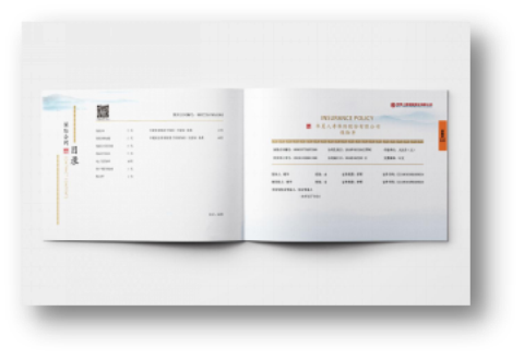 dz 二次开发教程