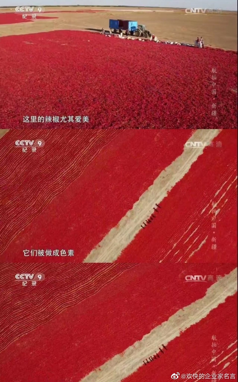 口红是辣椒中提炼出来的 口红是辣椒中提炼出来的