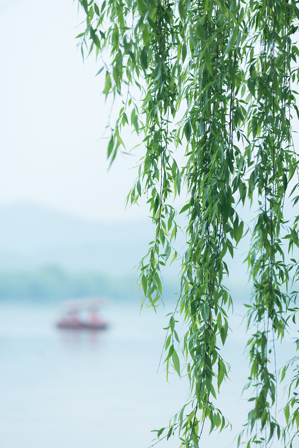 草长莺飞二月天，拂堤杨柳醉春烟。图 | @旅游播报