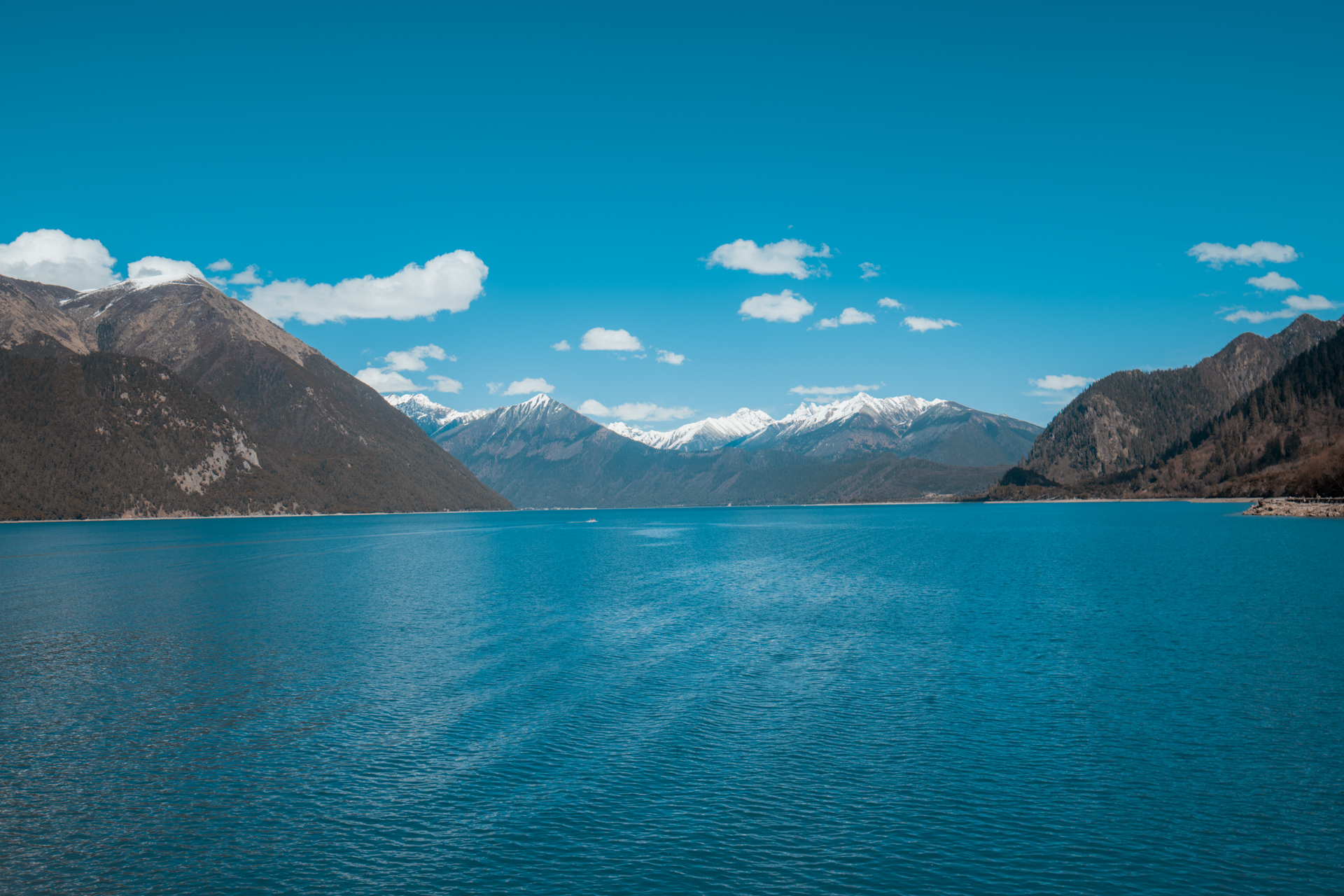 巴松措,四周的雪山其中环绕,湖中有一个小岛叫扎西岛