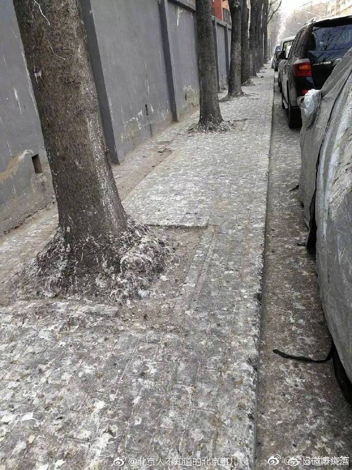 北京万寿路属于哪个区 万寿路在北京人心中的地位