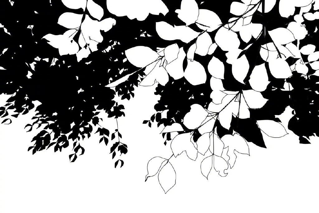 一组漫画花束素材 画花苦手不妨看一看哦 转给需要的伙伴们吧