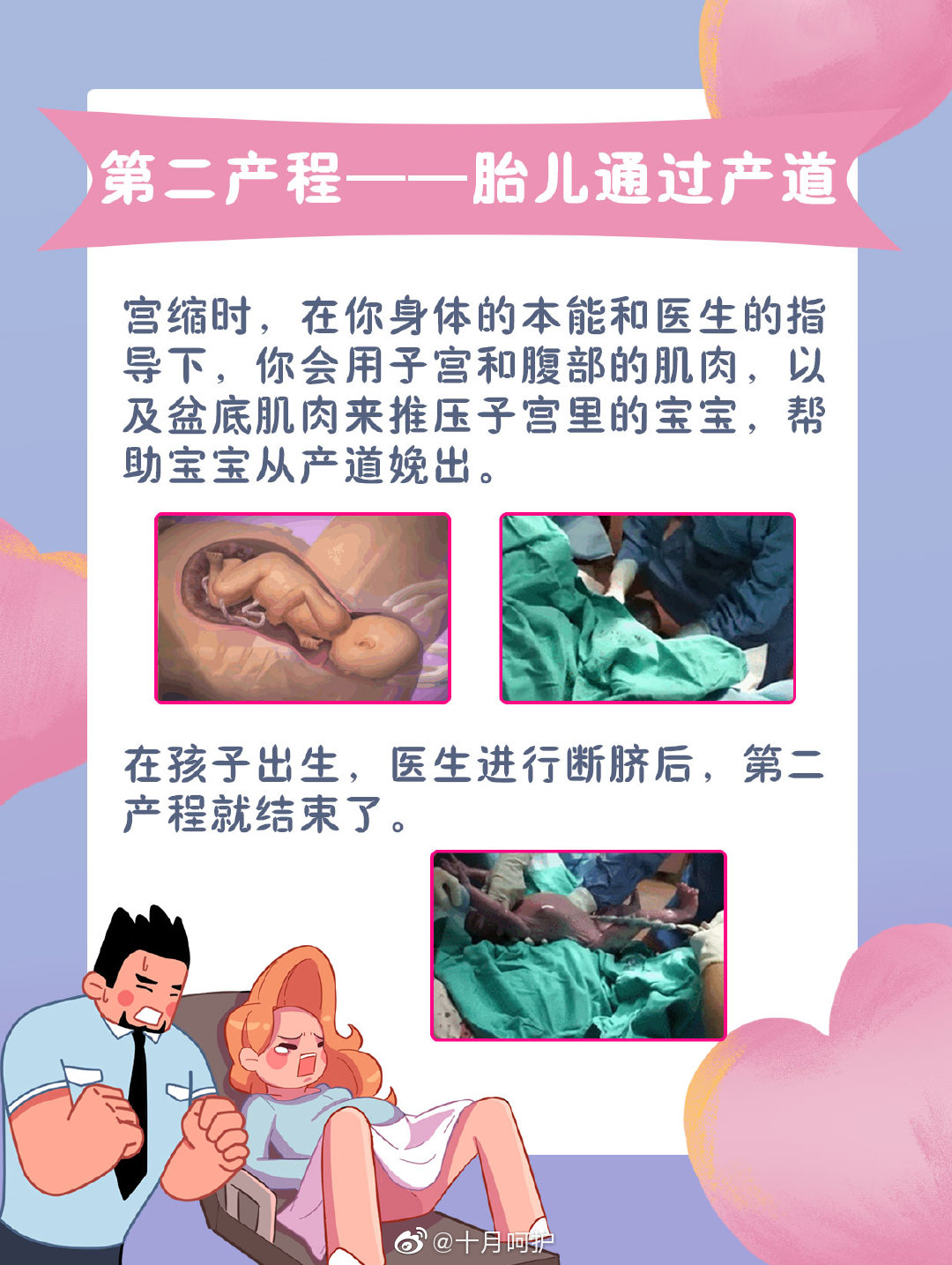 惬意!找女人生孩子渠道"千家万户"-第2张图片-宝意网