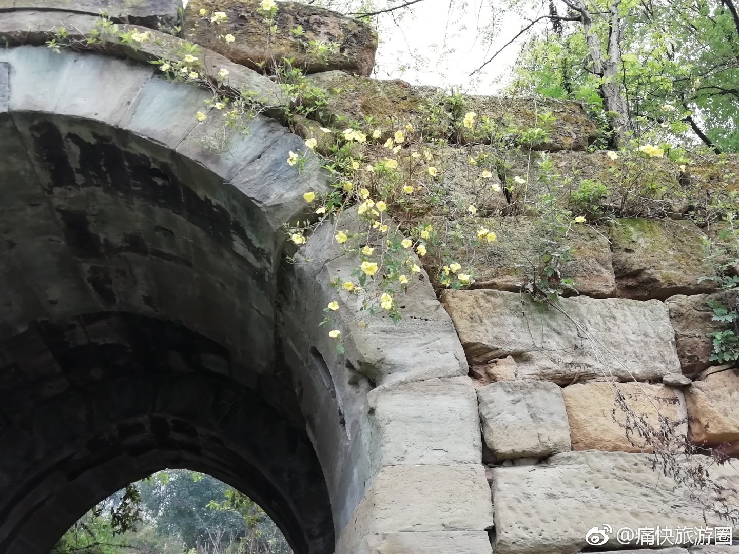 朝天寺是明朝成化年间 ( 1465—1487 ) 的古庙，森林茂密，佛寺宏大|自贡|佛寺|寨墙|朝山|礼佛_新浪新闻