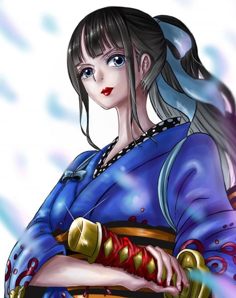 和之国小菊绝美图片奉上