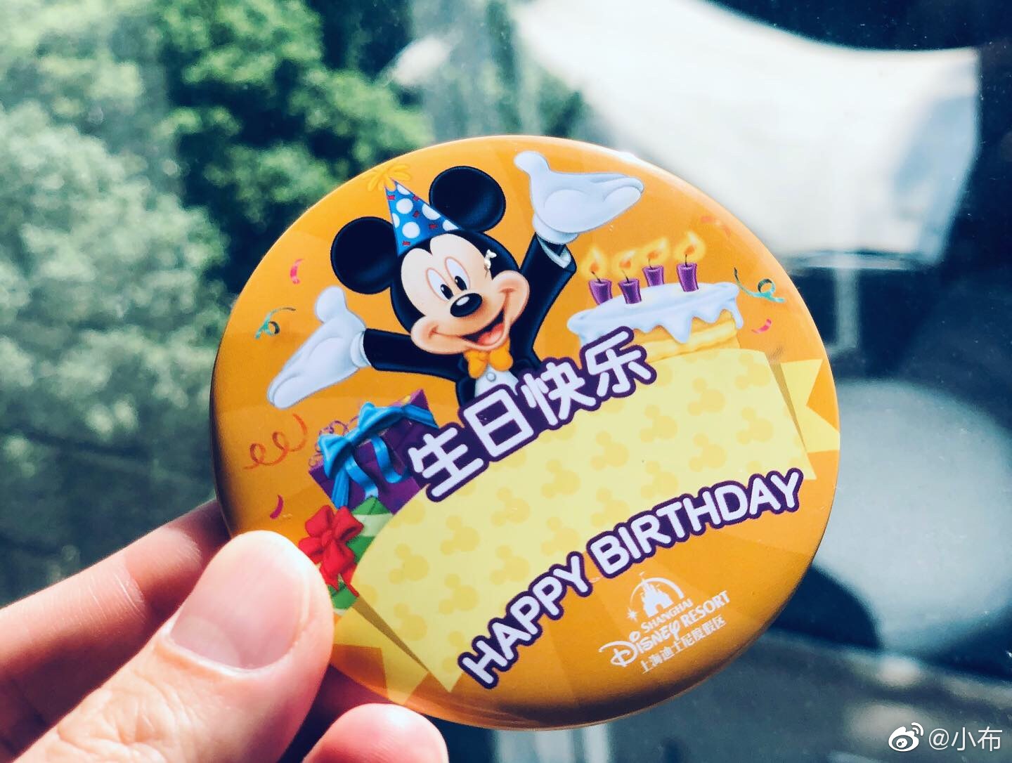 生日当天去了迪士尼因为听说当月寿星可以领一个徽章园区的工作人员