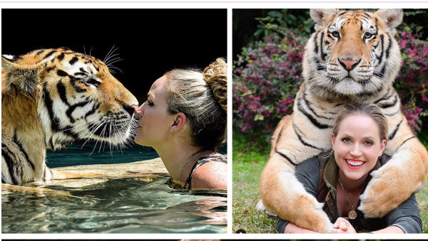 养老虎的女人!陪小老虎嬉闹,给大老虎挠痒痒