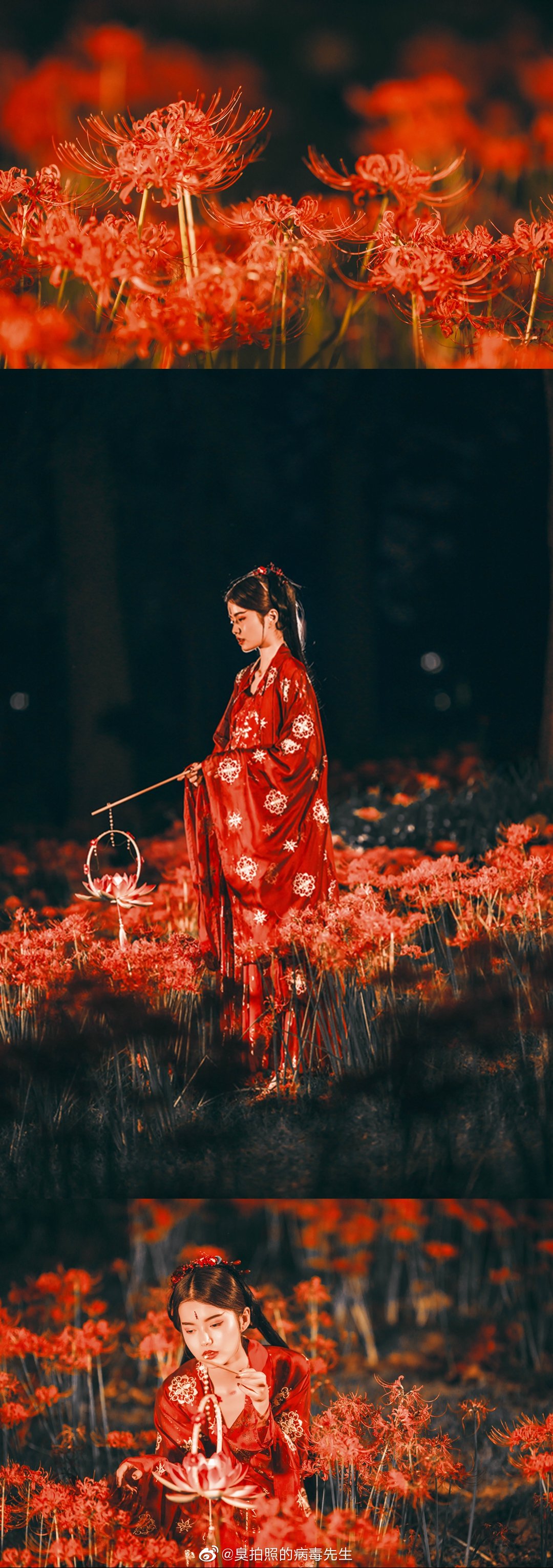 黄泉路上 忘川河畔彼岸花开 曼珠沙华叶不了花 望乡台前三生石旁