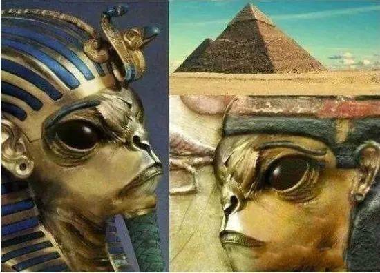 人类根本不是进化来的:人类杀死了地球原住民后取而代之|猿猴|人类