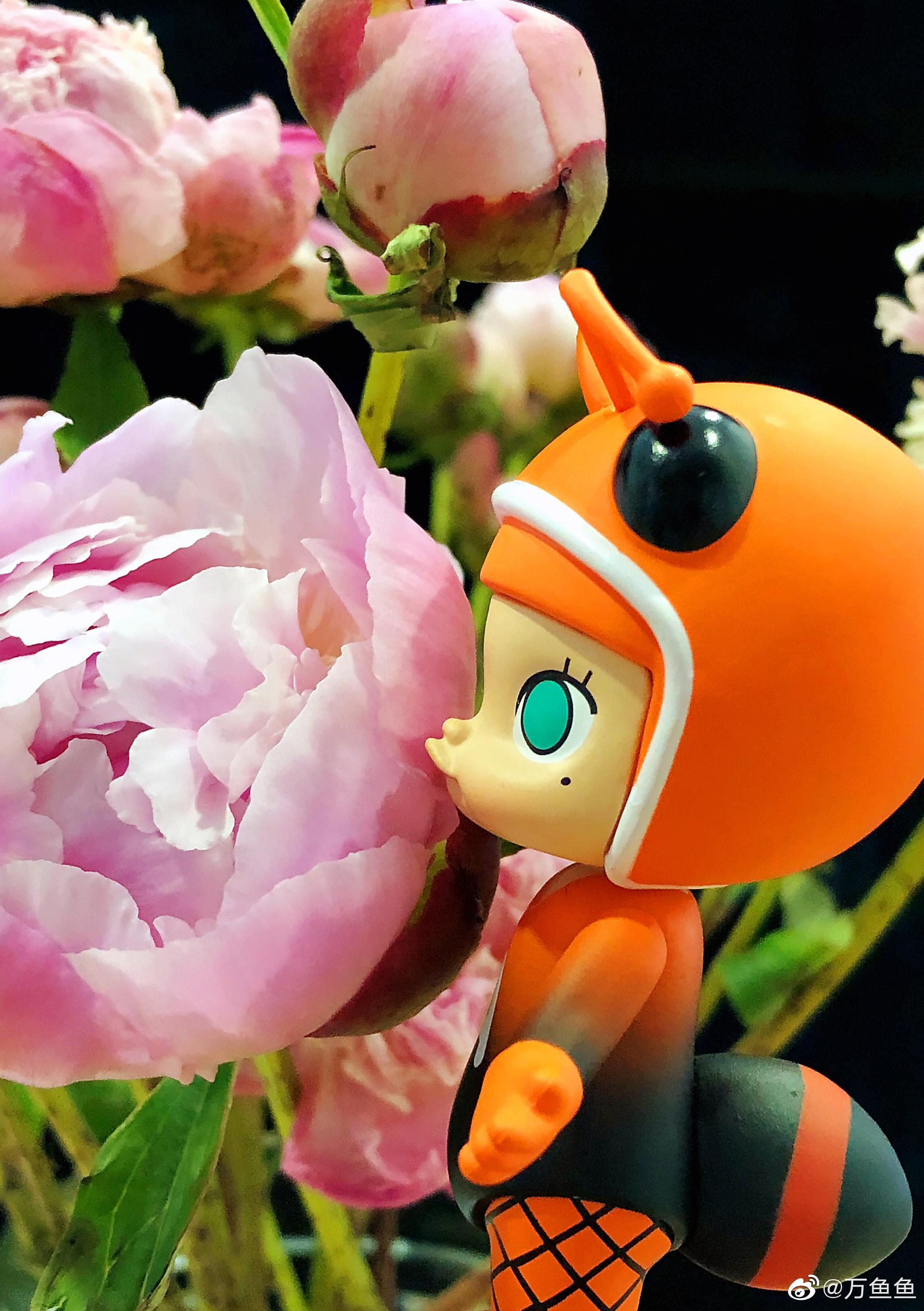 工作室的芍药开了,引来了一群可爱的小昆虫.@popmart泡泡玛特