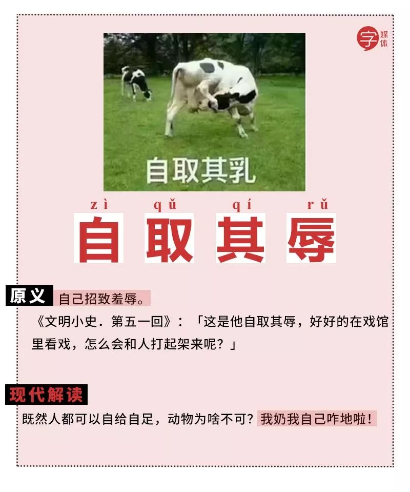 当沙雕网友盯上成语表情包画面竟如此不忍直视