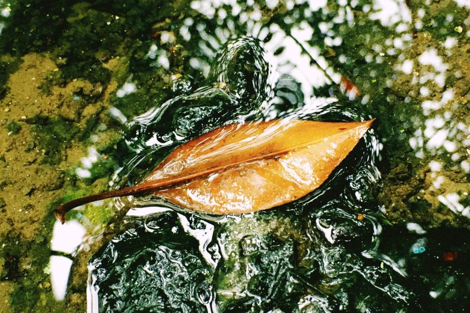 今日小雨__财经头条