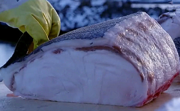 《风味人间》里这种有毒的鲨鱼肉,吃着还很臭,却是冰岛美食