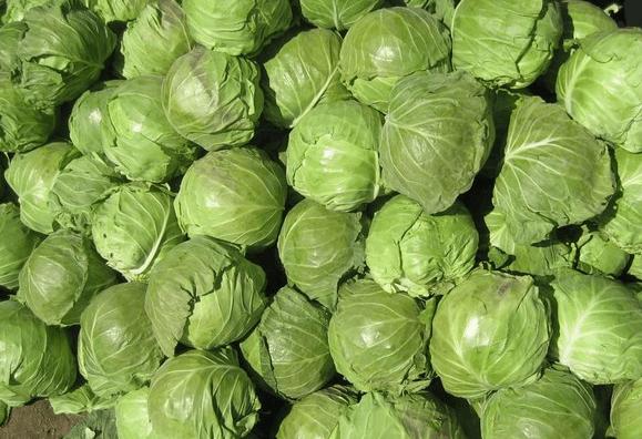 这是最贵的6种蔬菜,全部都吃过的就是土豪,你是土豪吗