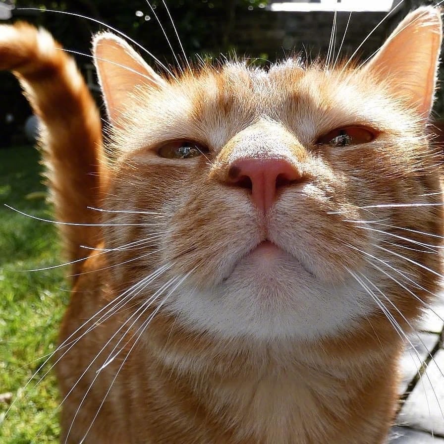 胖橘eric成熟稳重对这个赛盖不屑一顾