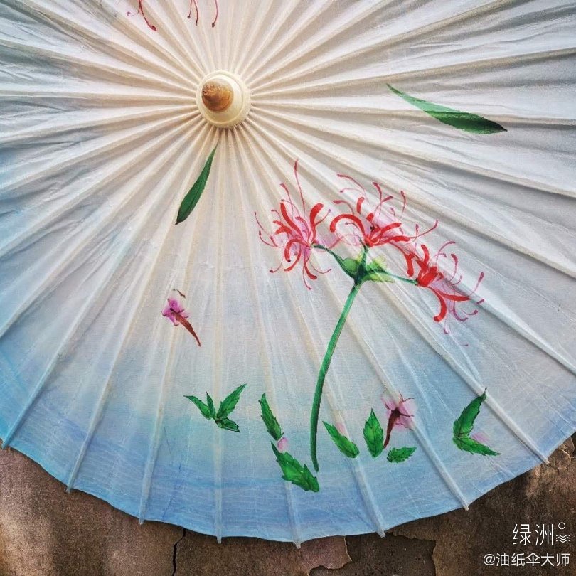 彼岸花油纸伞曼珠沙华 又称彼岸花 曼珠沙华 出自法华经