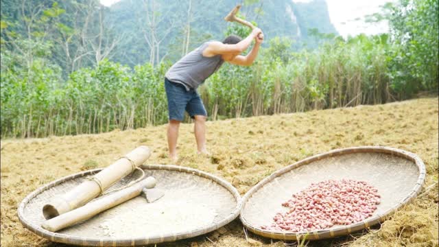 原始技术越南小哥赵辉路开荒种地这下不担心没吃的了